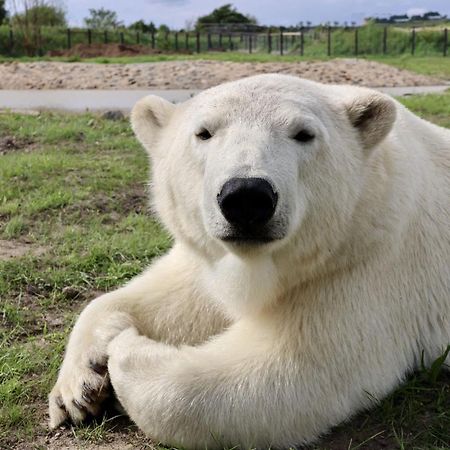 Chic 2 Bed Peak District Cottage Barn Near Alton Towers, Polar Bears, Chatsworth House Leek Zewnętrze zdjęcie