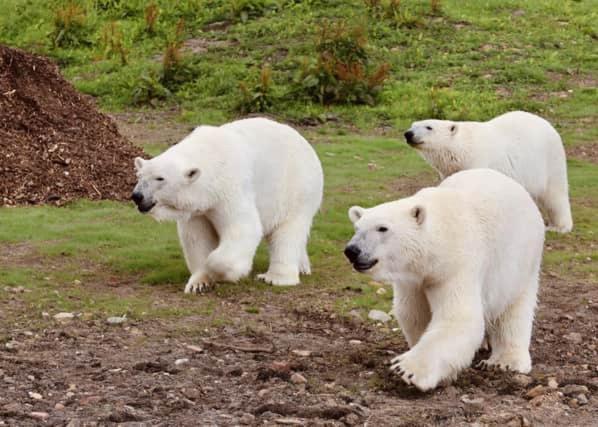 Chic 2 Bed Peak District Cottage Barn Near Alton Towers, Polar Bears, Chatsworth House Leek Zewnętrze zdjęcie